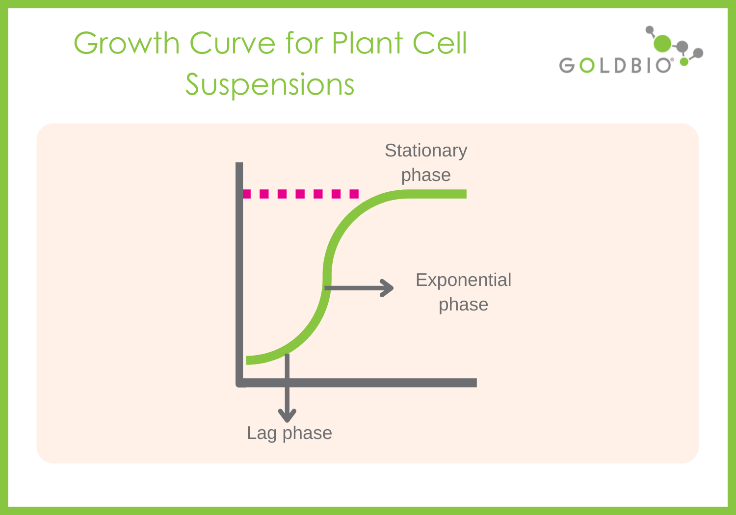 All About Plant Cell Suspension Cultures What Is It and How to